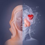 Гормонозаместительная терапия: между пользой и риском. Что изменилось в 2025 году?