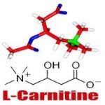 Что такое L-карнитин